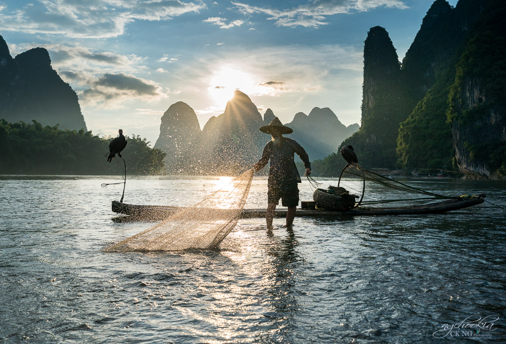 Mr Cormorant of Guilin II 桂林漓江 摄影 chookia