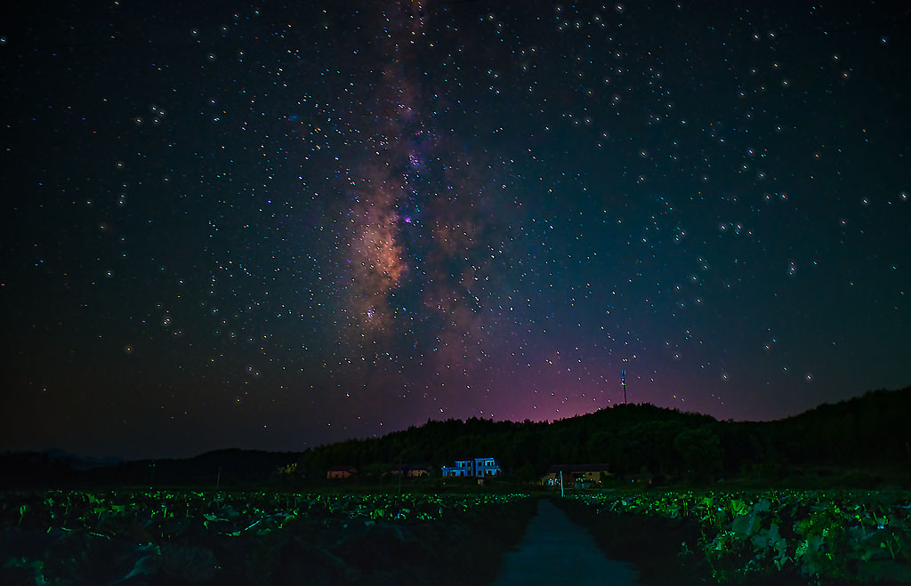 夜深沉 摄影 拾穗者