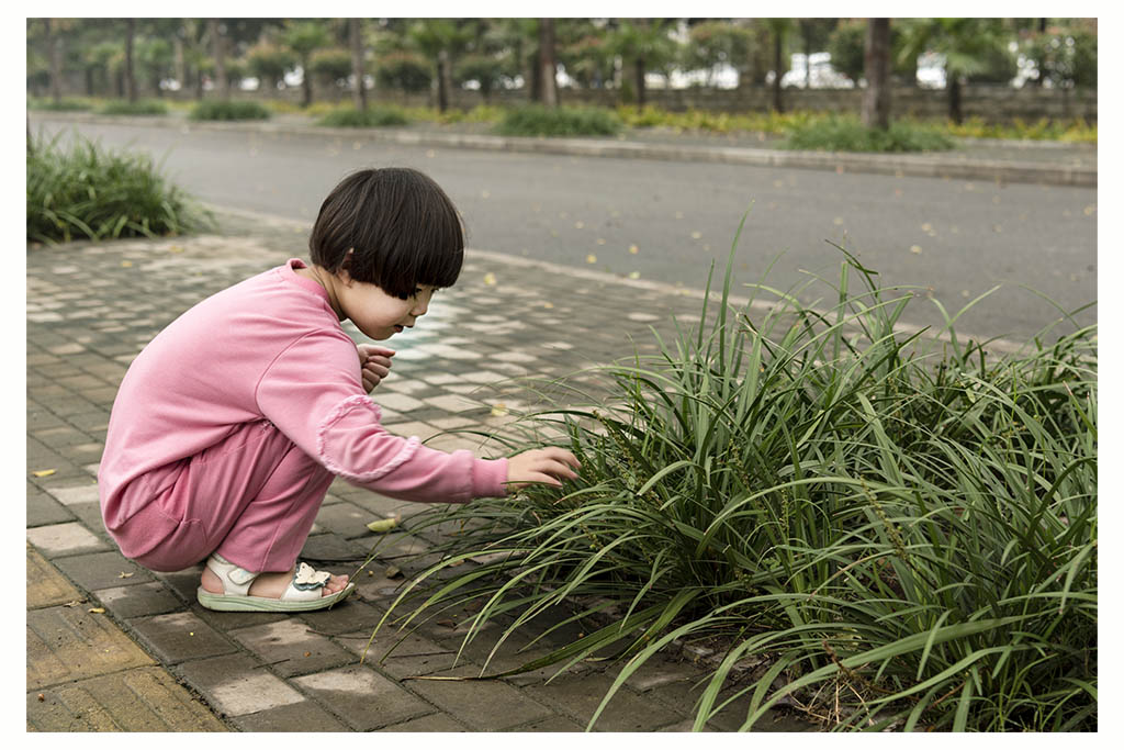 种子 摄影 mahongwei