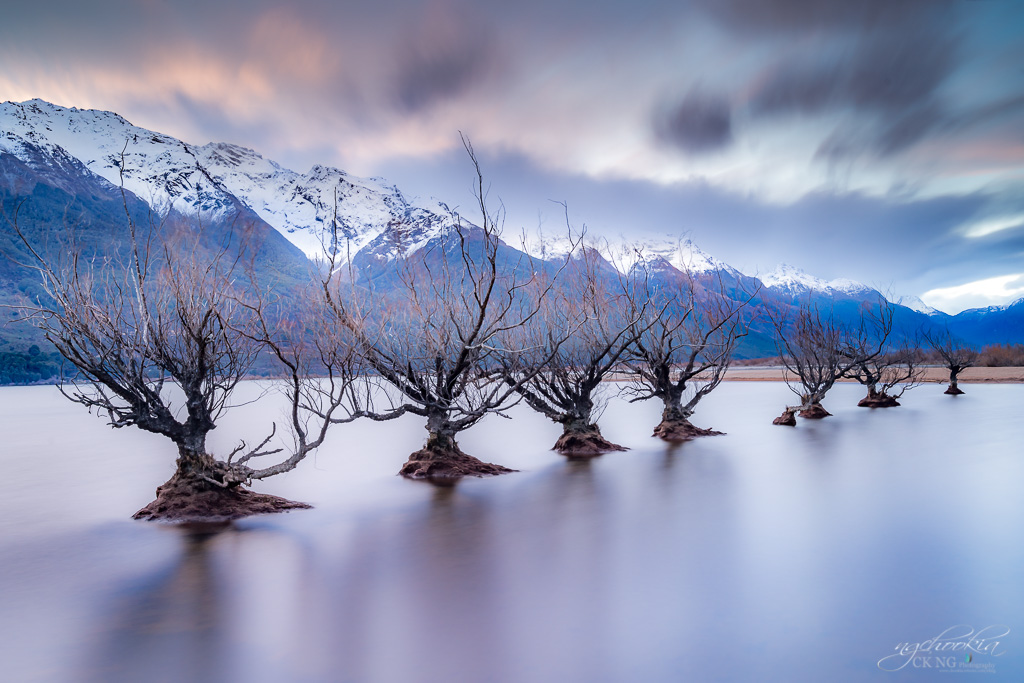 trees II Lake Wakatipu- NZ 摄影 chookia