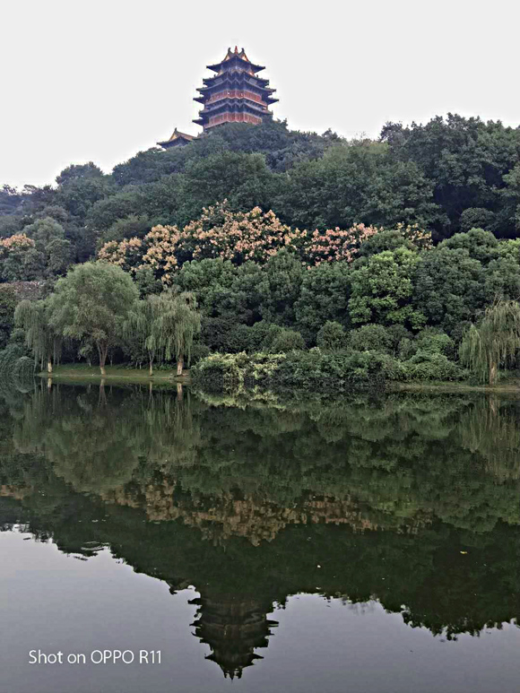 阅江楼雄姿 摄影 松雪