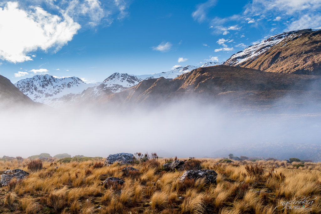 Misty II Otira- NZ 摄影 chookia