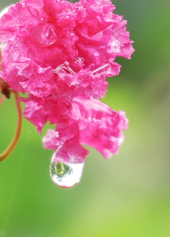 雨后 摄影 纯棉布衣