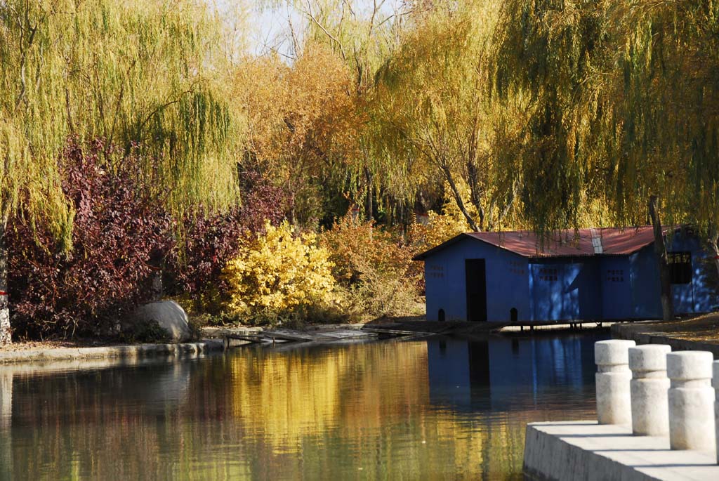 秋景（二十七） 摄影 耿昊天