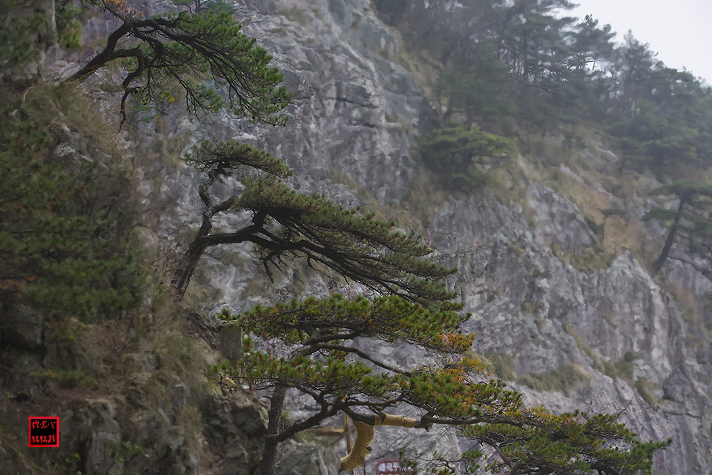 游明堂山（5） 摄影 铃儿响铛铛