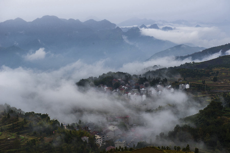 烟雨茗岙 摄影 茗岙忠