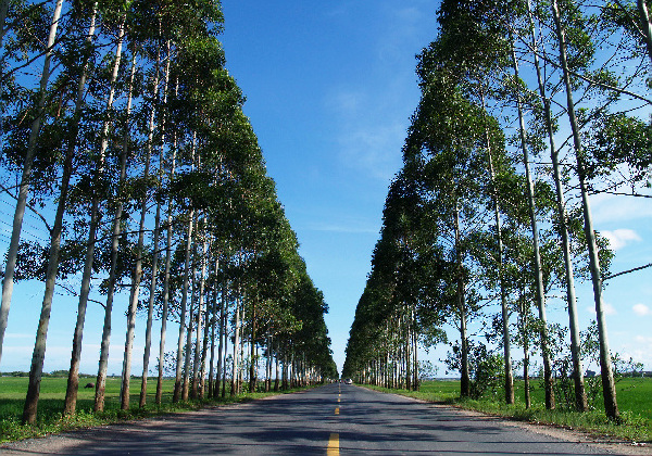 路 摄影 流云青山