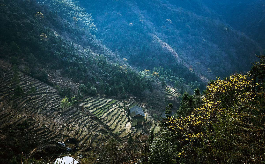 太平山人家 摄影 拾穗者