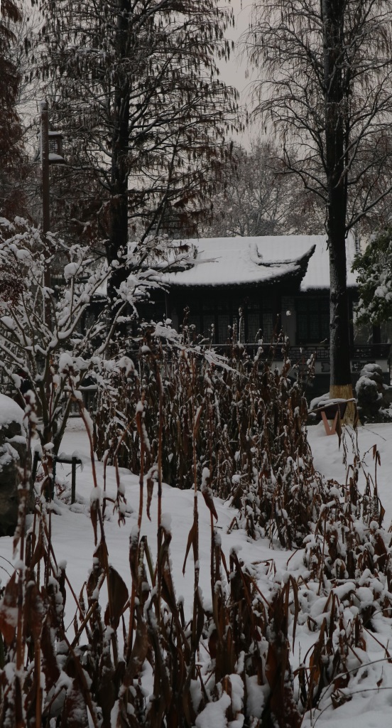 《雪》之四 摄影 西西里