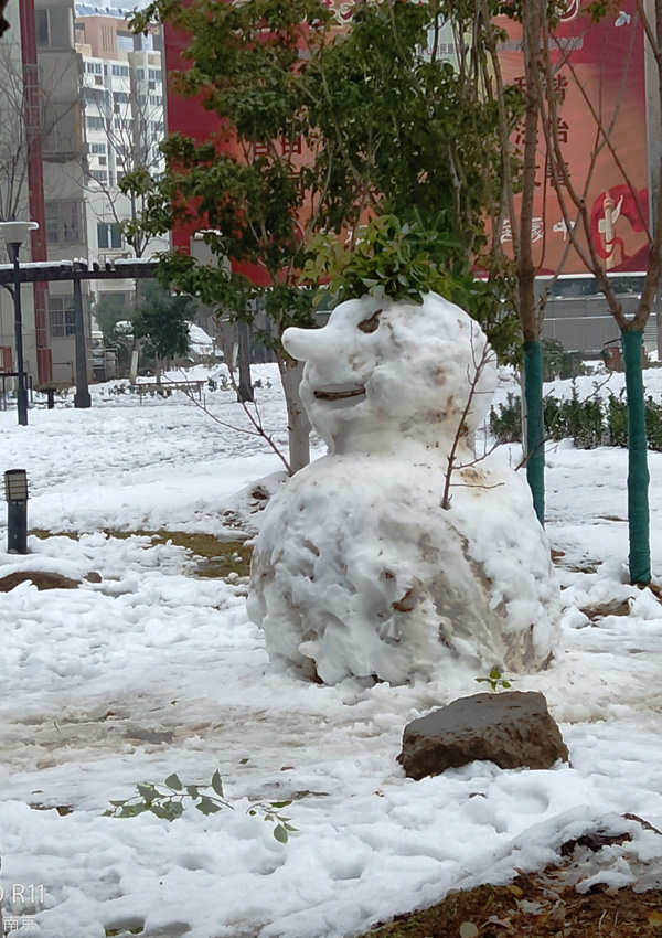 家园雪景（2) 摄影 松雪