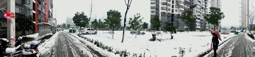 家园雪景 摄影 松雪