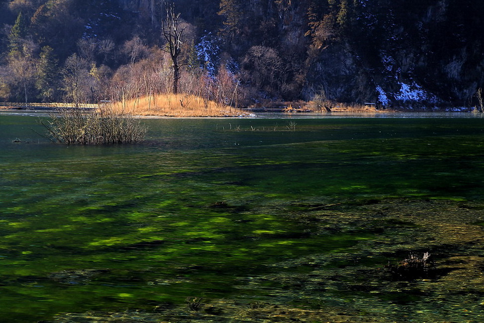 毕棚沟小景   1 摄影 冰之炫