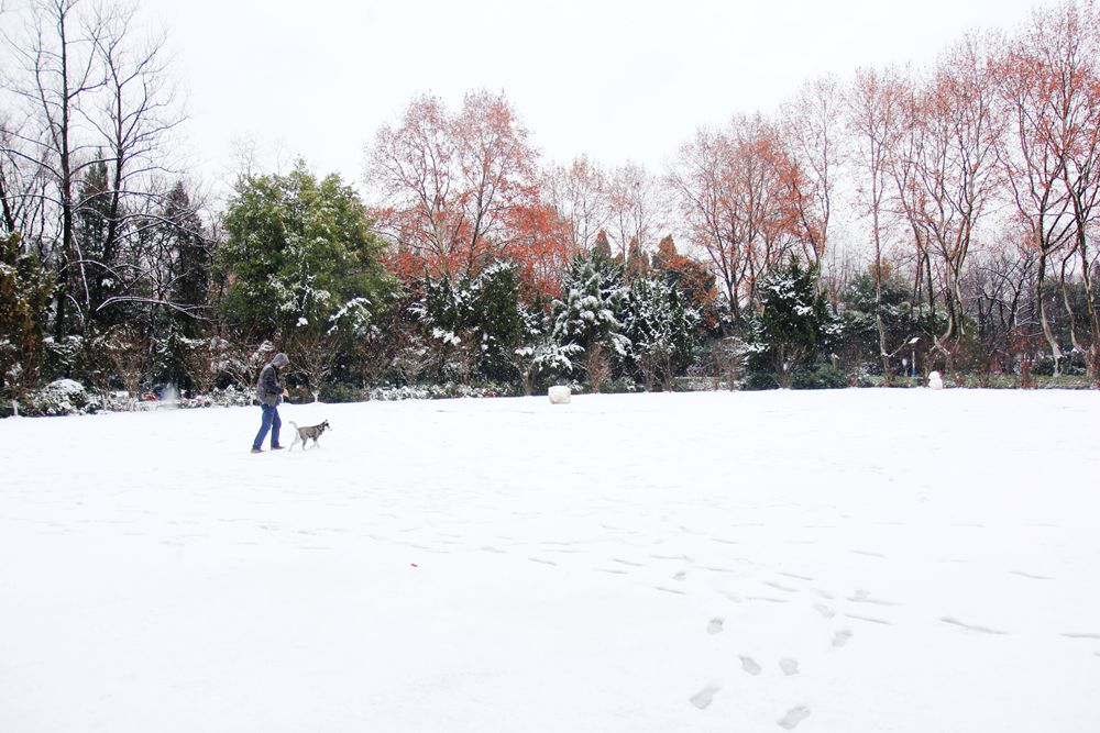 雪中行 摄影 驰骋宏宇