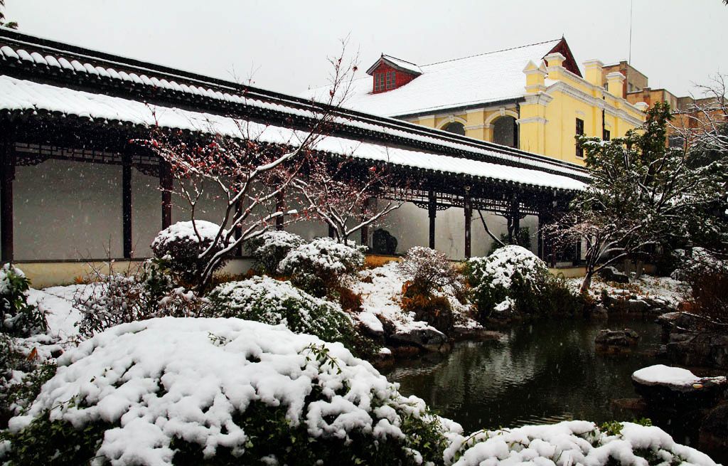 南京第一场雪（7）中西合璧 摄影 易胆小