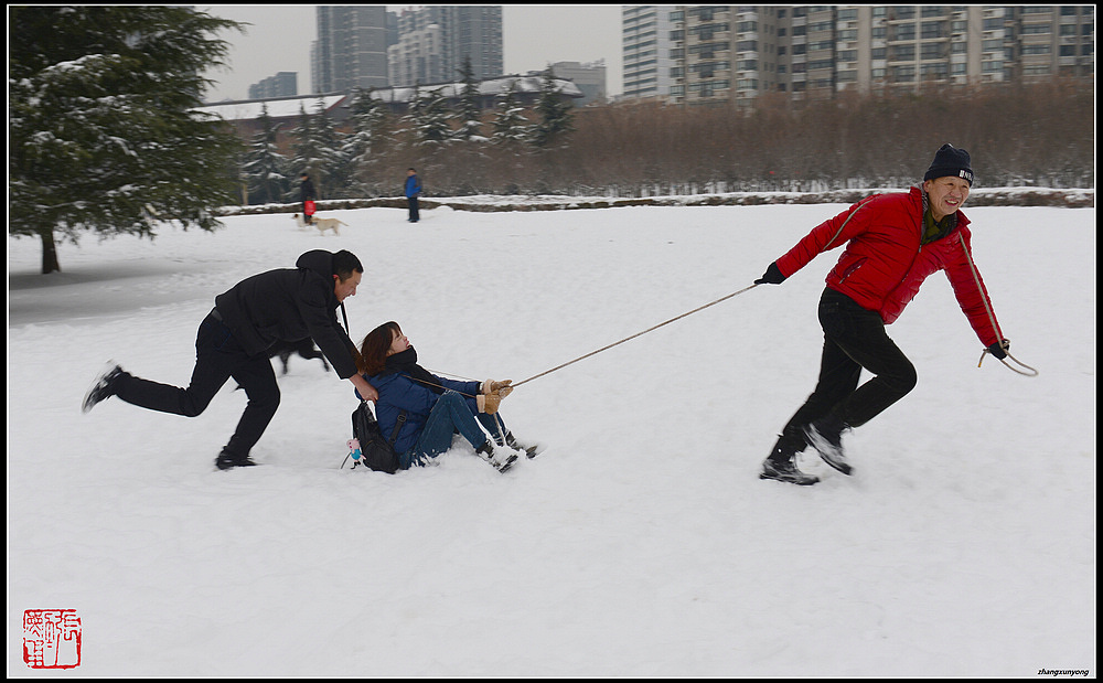 雪地撒欢 摄影 zhangxunyong