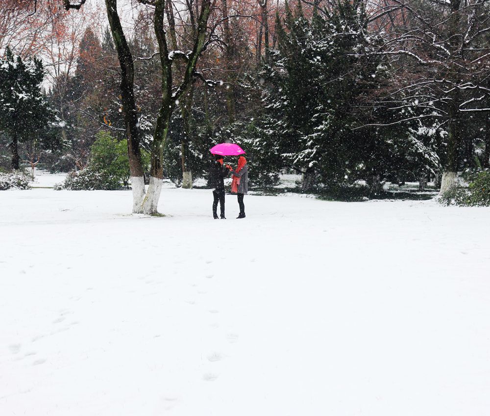 雪中情 摄影 驰骋宏宇