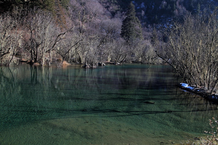 毕棚沟小景   6 摄影 冰之炫