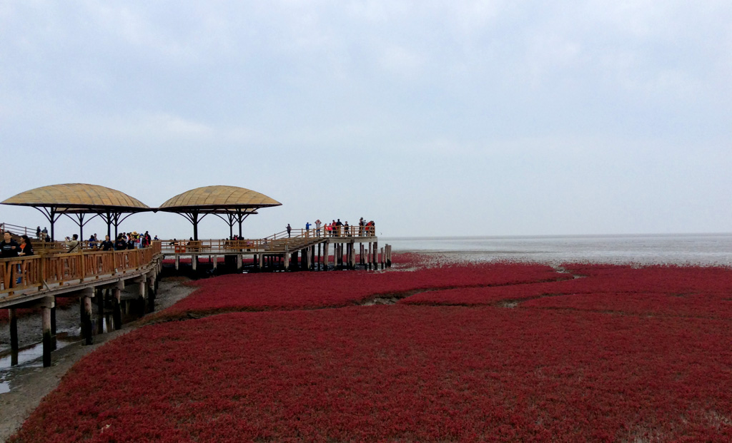 紅海灘 摄影 与众不同