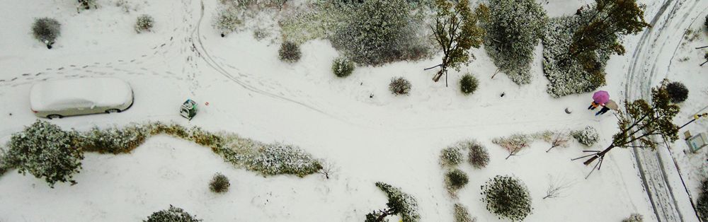 瑞雪图 摄影 驰骋宏宇