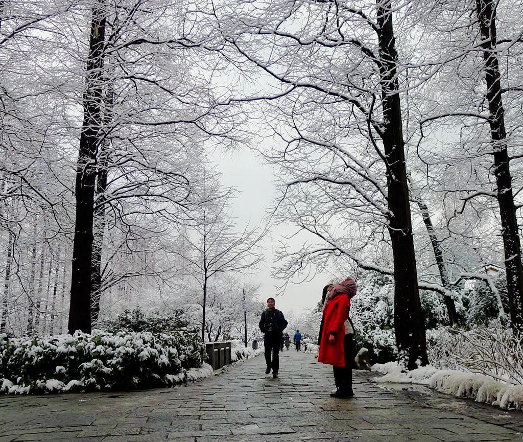 赏雪 摄影 孤山梅云