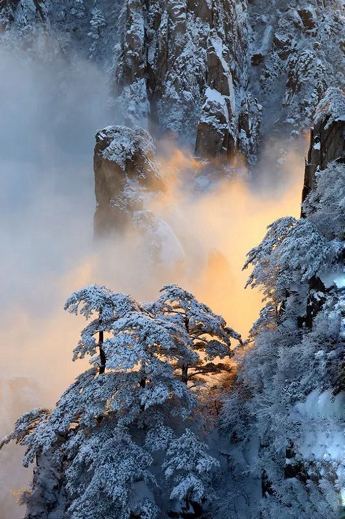 雪松！ 摄影 春帆