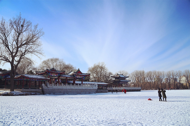 二一九公园 摄影 高处自有风景