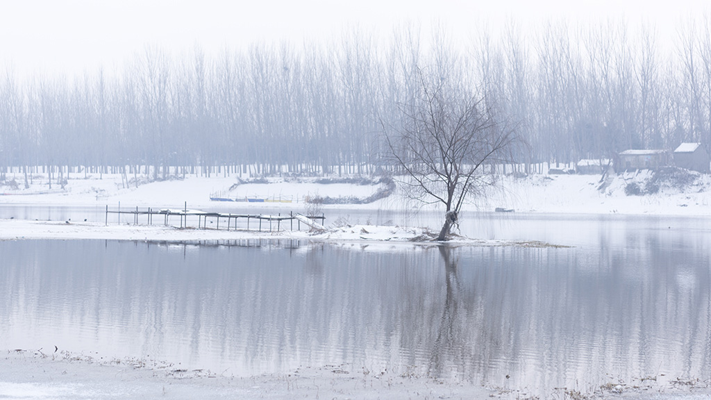 雪中 摄影 mahongwei