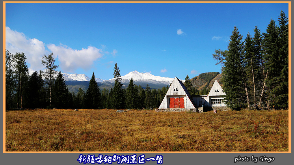 新疆喀纳斯湖景区一瞥04 摄影 gingo