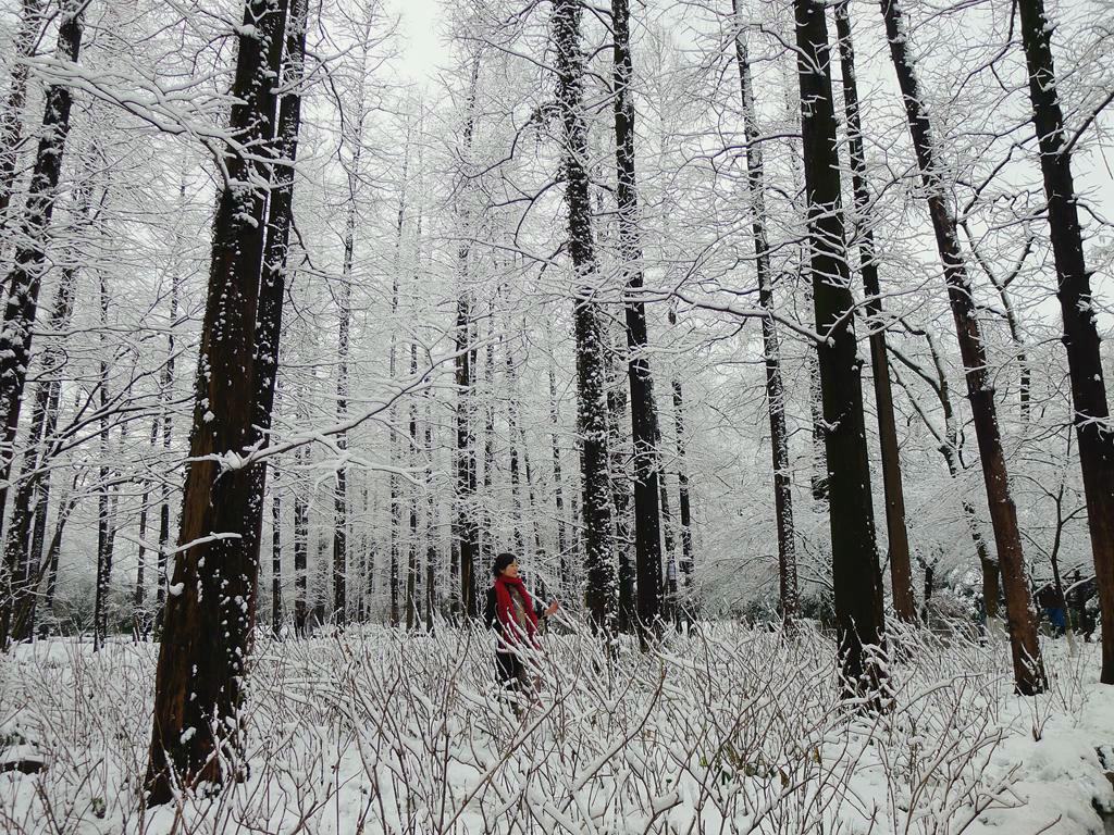 雪原佳人 摄影 孤山梅云