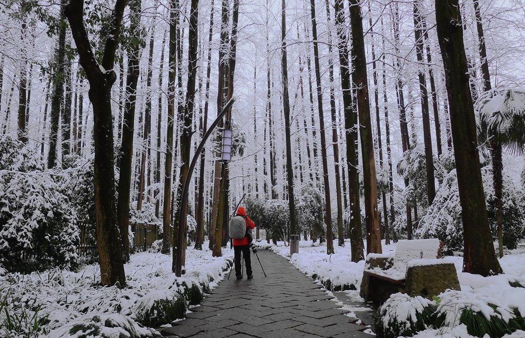 雨雪中的摄影人 摄影 孤山梅云