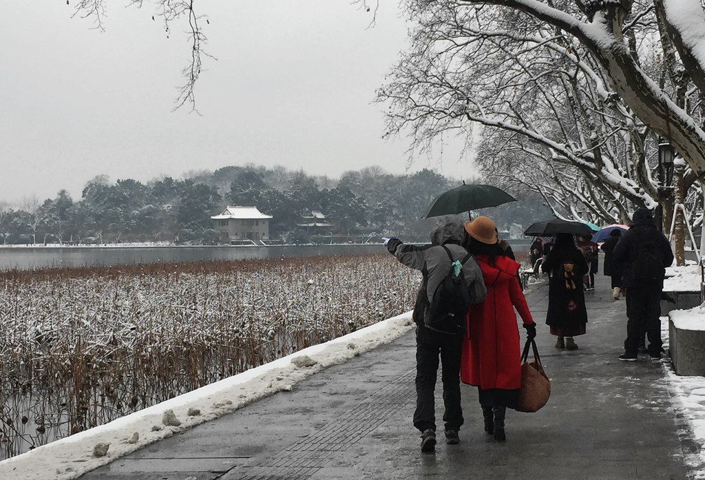 风雪浓情 摄影 孤山梅云