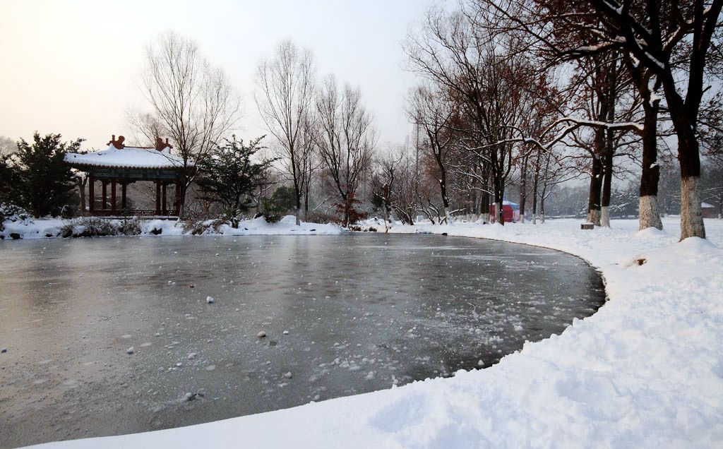 南京的第二场雪（2） 摄影 易胆小