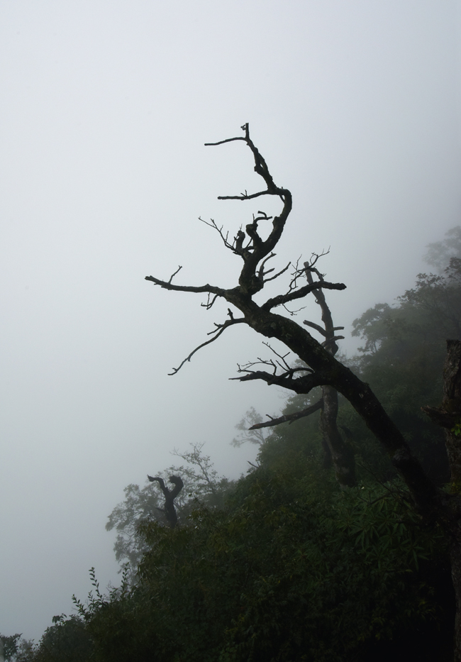 天门山2 摄影 沙弛