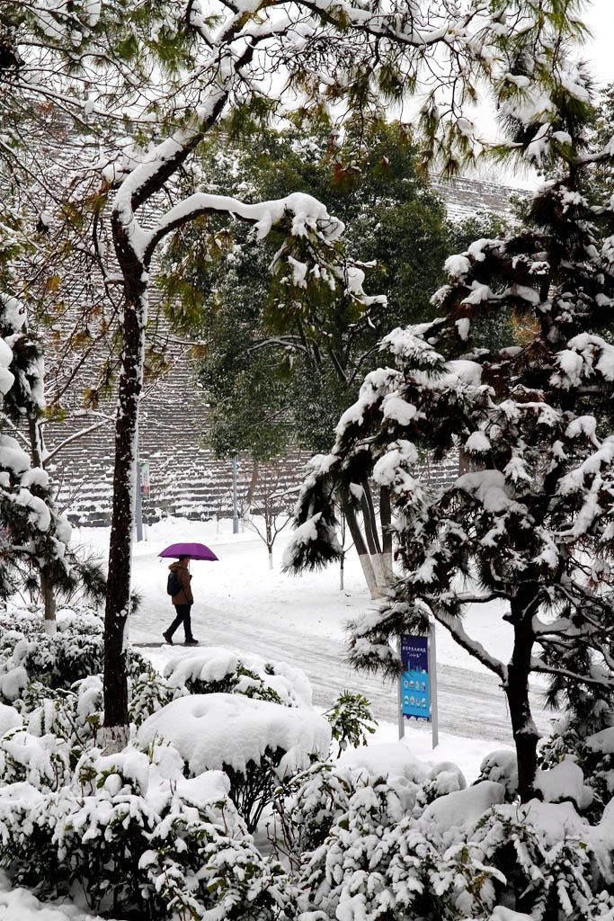 南京的第二场雪（4） 摄影 易胆小