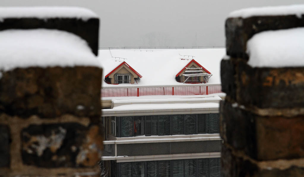 南京的第二场雪（7）小 品 摄影 易胆小