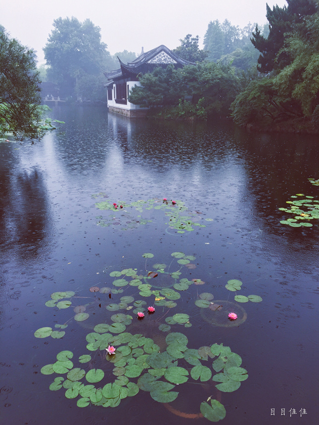 且听落雨声 摄影 目目佳佳