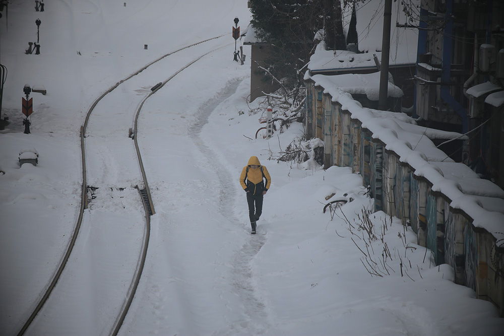 雪 摄影 耕战