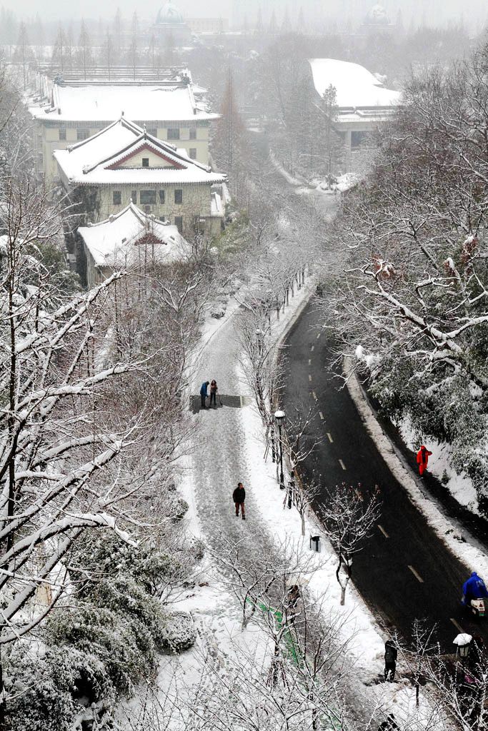 南京的第二场雪（14） 摄影 易胆小