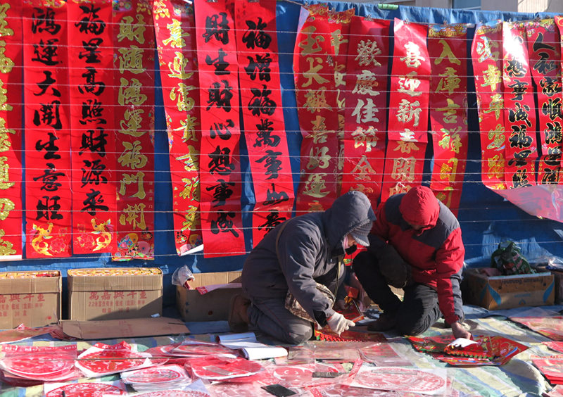 2018春节随拍二 摄影 柳花