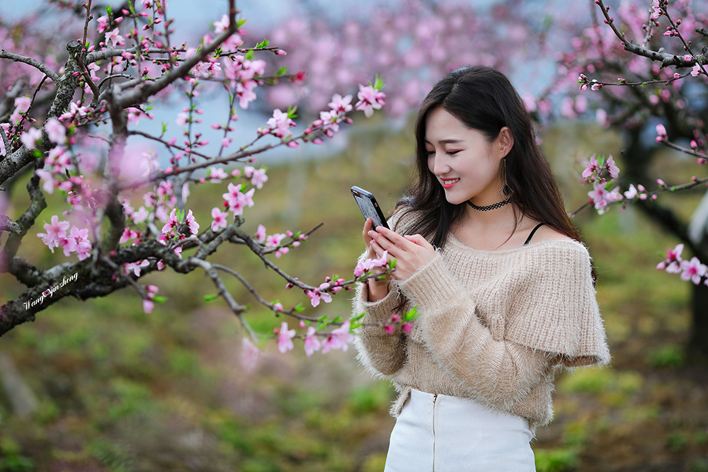 春的韵律 摄影 品位生活