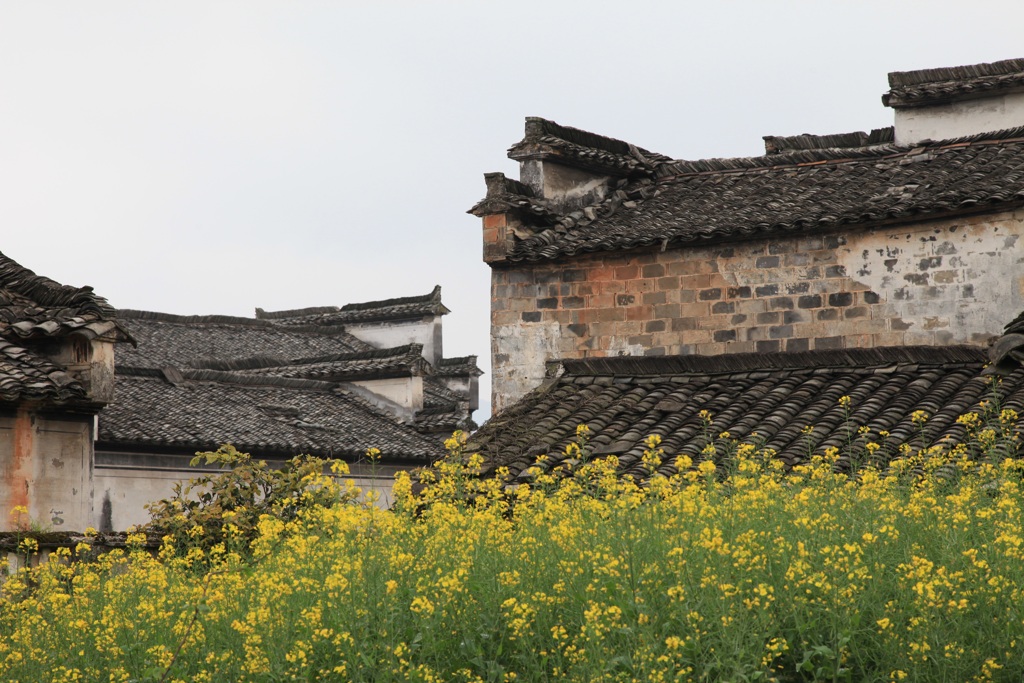 徽州 摄影 gufanyuanyin