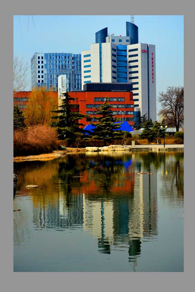北京国际雕塑公园 摄影 北京快乐兔