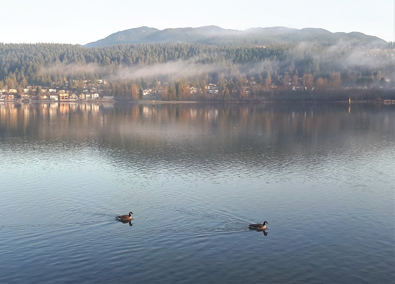 Port Moody 晨跑 #2 摄影 徒手流浪