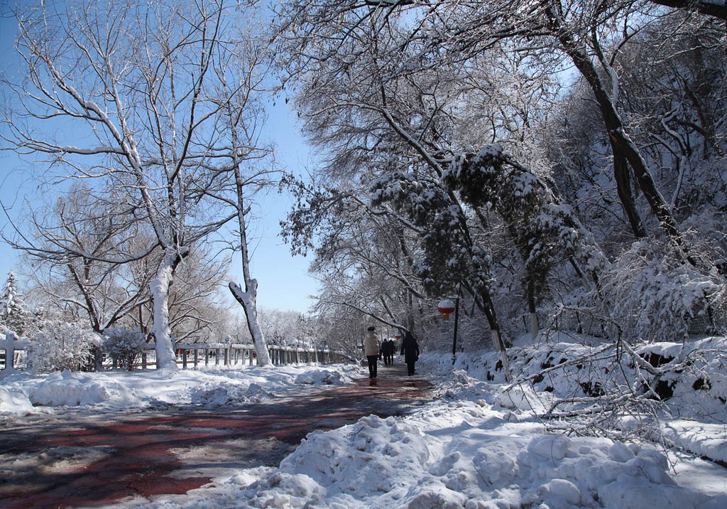 今年的雪29 摄影 xqz