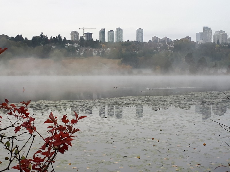 Deer Lake 晨跑 #3 摄影 徒手流浪