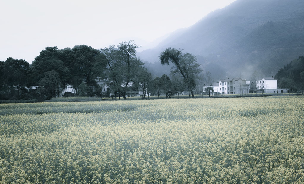 小原的早晨 摄影 拾穗者