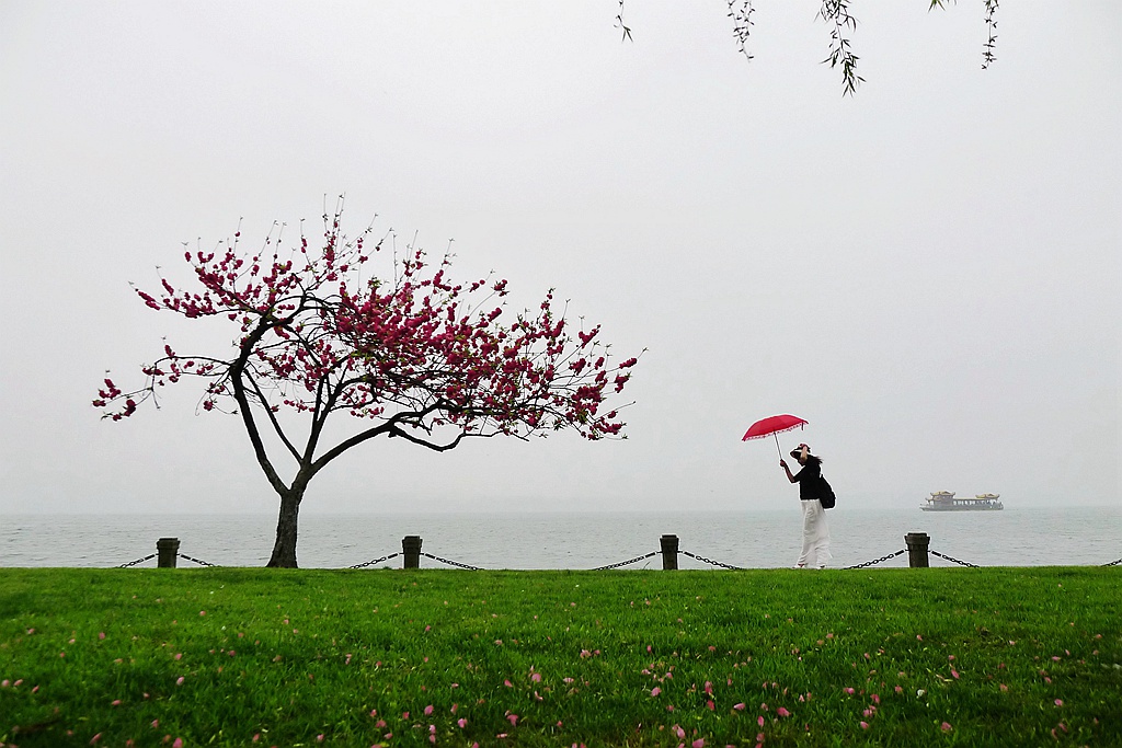 细雨濛濛 ~~~~~ 摄影 孤山梅云