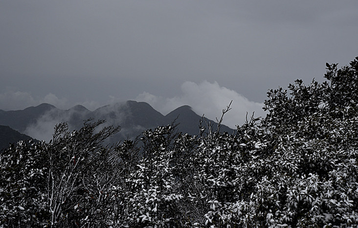 金佛山 摄影 bianjz58