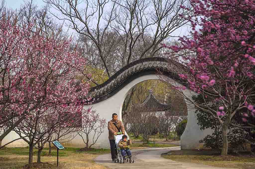 春到人间 摄影 lingsu