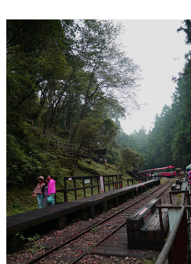 臺灣阿里山小火車 摄影 与众不同